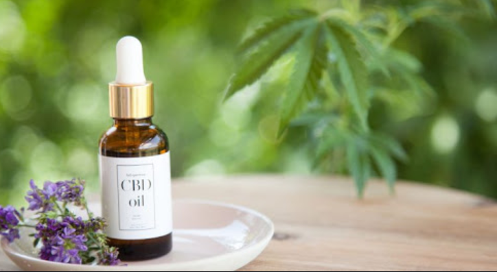 Find The Best CBD oil For Dogs Canada Using This Guide