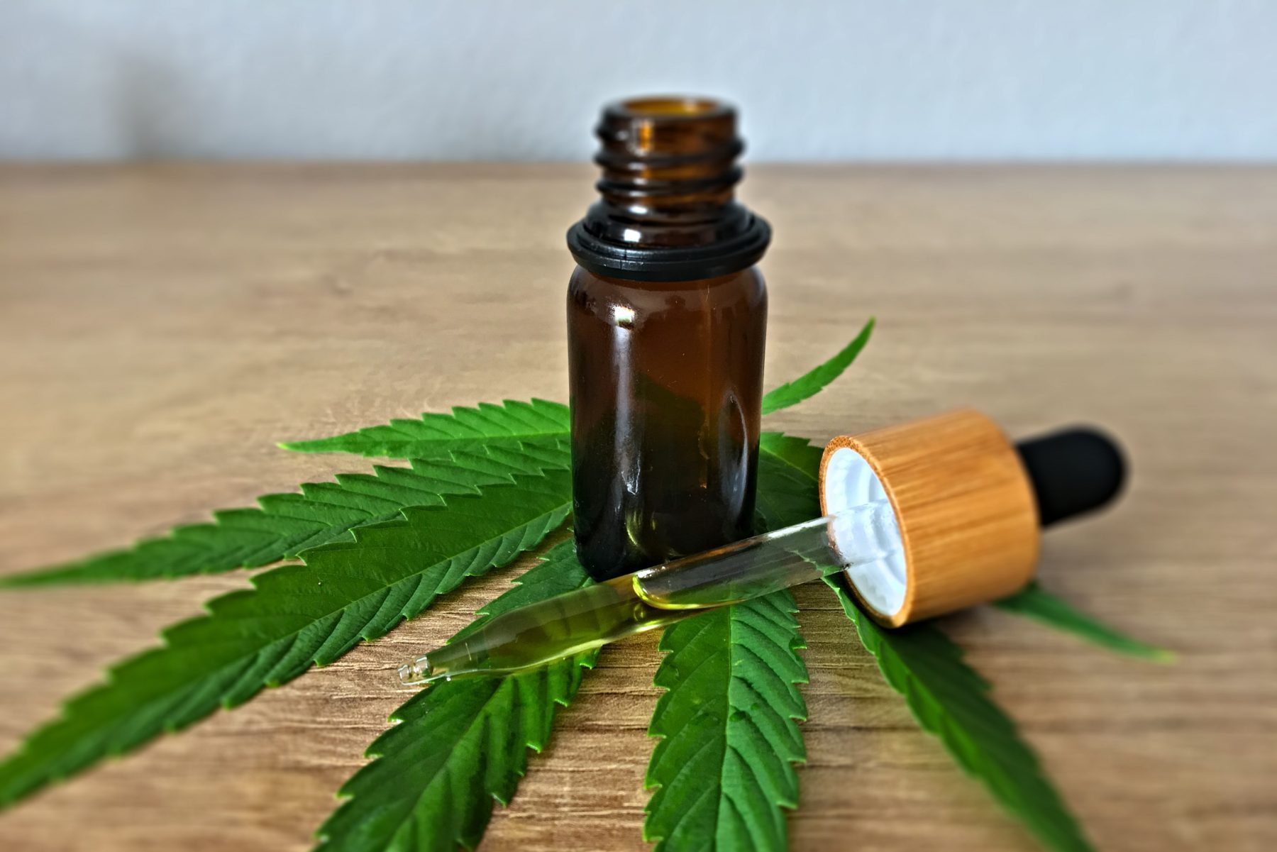 Can CBD Oil Be Healthy for Dogs?